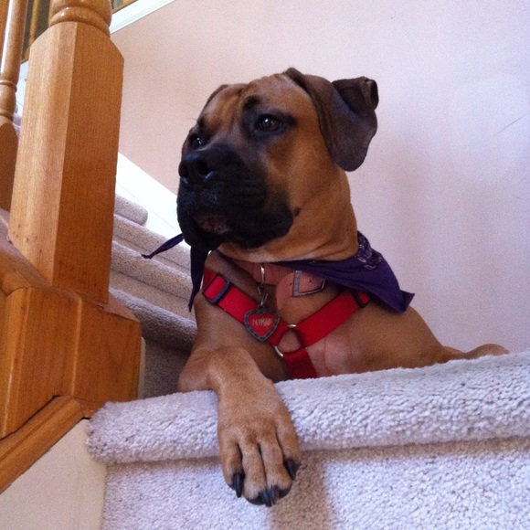 Welcome to Audrey’s Attic! 🐞 - Picture 4 of 6